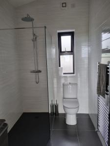 a white bathroom with a toilet and a window at Silver Strand Chalets - Chalet 2 in Malin Beg +14 photos