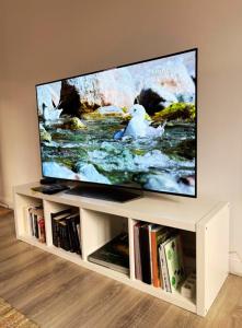 a flat screen tv sitting on a white entertainment center at Spacious, bright and comfortable bedrooms in Lannemezan