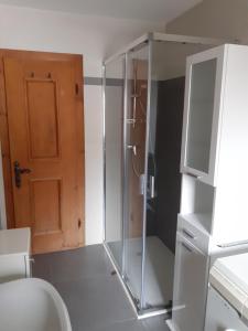 a glass shower in a bathroom with a toilet at Casa Milpa in Sappada