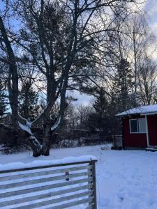 a snow covered yard with a tree and a red house at Sofias Lovely Little House in Stockholm