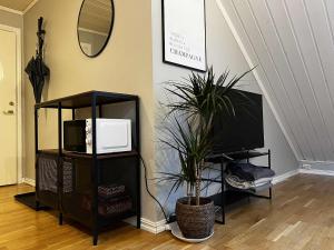 a living room with a tv and two potted plants at Charming little apartment in Moss in Moss