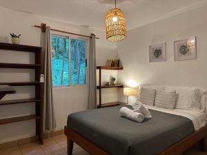a bedroom with a bed with a stuffed animal on it at Colibri Apartments - Private kitchen & bathroom - 4 min walk to the Beach! in Santa Teresa Beach