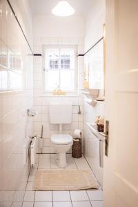 a white bathroom with a toilet and a window at Villa Stella all famous ski areas around us, 15 minutes to salzburg, mountainview in Golling an der Salzach +66 photos