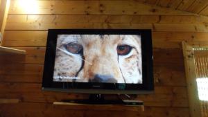 ein Fernseher mit einem Bild eines Geparden darauf in der Unterkunft scuderia club house in Susa