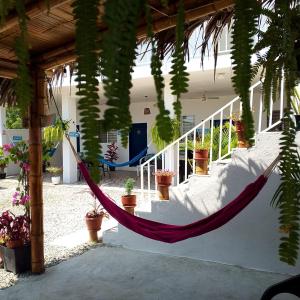 a hammock in a porch with potted plants at Sol de Ayangue in Ayangue