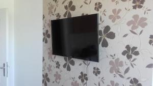 una TV a schermo piatto appesa a un muro di Apartment ZiZ a Banja Koviljača