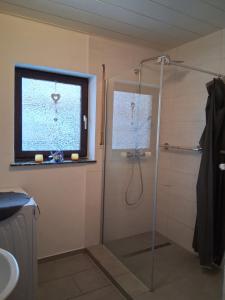 a bathroom with a shower with a window and a sink at Ferienwohnung Lina in Nistertal +11 photos