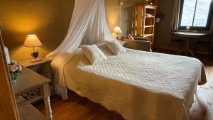 a bedroom with a white bed with a canopy at Appartement vue panoramique in Binos