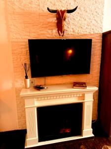 a fireplace with a television and a cow head on the wall at Ferienwohnung Time out in Vreden