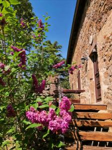 a bunch of pink flowers hanging from a building at Chambres d'Hôtes Le Grand Chaleat in Éclassan
