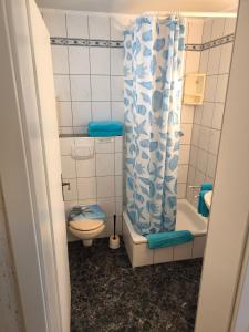 a bathroom with a toilet and a shower curtain at Zingster Ostseeklause in Zingst