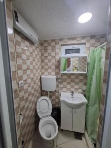 a small bathroom with a toilet and a sink at PODNOZJe KOPAONIKA in Brus +34 photos