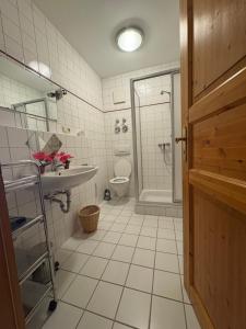 a bathroom with a toilet and a sink and a shower at Panorama Apartments II in Lohberg