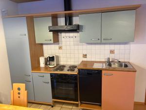 a small kitchen with a stove and a sink at Panorama Apartments II in Lohberg