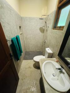 a bathroom with a sink and a toilet at NILGIRA VILLA By LILYS in Badulla
