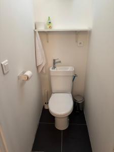 a small bathroom with a toilet and a sink at Le Châtaignier in Faveyrolles