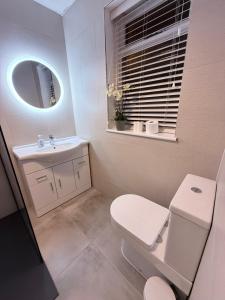 a bathroom with a toilet and a sink and a mirror at Cosy corner in Sligo +3 photos