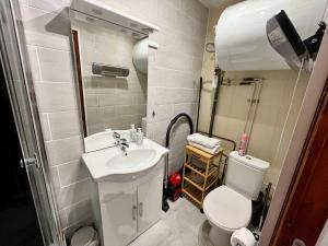 a small bathroom with a toilet and a sink at Le Cocon 54 Studio à Rives Parking facile in Rives +11 photos