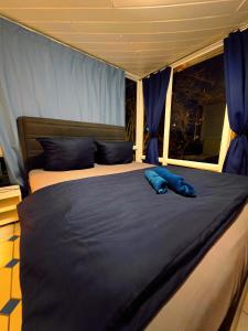a bedroom with a large bed with blue pillows at Villa mit Garten 4 Personen in Nuremberg