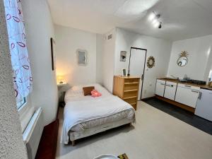 a small bedroom with a bed and a sink at Le Cocon 54 Studio à Rives Parking facile in Rives