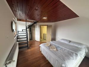 a bedroom with a bed with a wooden ceiling at Cabana Lake View in Bălceşti