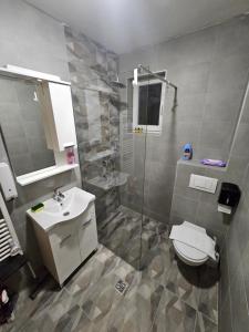 a bathroom with a shower and a sink and a toilet at Mali Princip in Pale