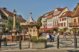 a town with a fountain in the middle of a street at Escale Im Elsass in Mutzig