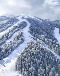 an aerial view of a snow covered mountain with a river at Apartment Nuve in Bjelašnica