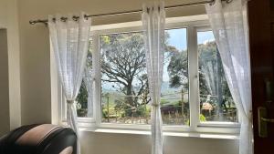 a window with white curtains and a view of a tree at Cloud Crest Homestay in Ooty +23 photos