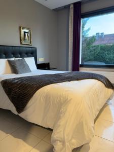 a bedroom with a large bed with a large window at Motel Montecarlo in Teo +21 photos