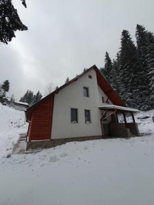 a small house in the snow with trees at Star Panzió in Harghita-Băi +38 photos