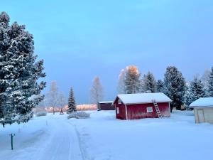 a red barn in a snow covered field with trees at The Little Owls Nest in Rovaniemi +7 photos