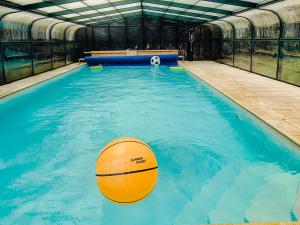 a swimming pool with a basketball in the water at B&B BienViennue in Marcilly-sur-Vienne