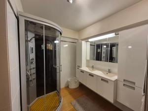 a bathroom with a shower and a sink and mirror at Faro in Blankenberge +9 photos