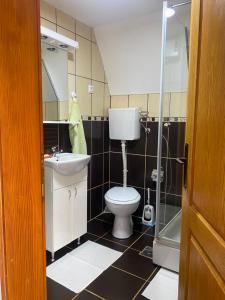 a bathroom with a toilet and a sink and a shower at Vikendica Stojanović in Mionica +45 photos