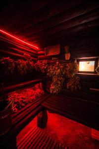 a room with a bench in a room with red lights at Netri SPA in Zofʼyuvka +2 photos