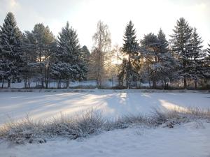 a field covered in snow with trees in the background at Gîte Sous le marronnier jusqu'à 10 personnes in Hadol