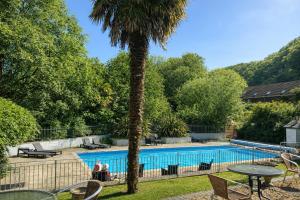 a palm tree next to a swimming pool at Fernhill Hideaway in Charmouth