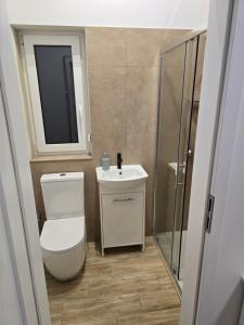 a bathroom with a toilet and a sink and a mirror at Rent0nline Brwinow Rooms in Brwinów +5 photos