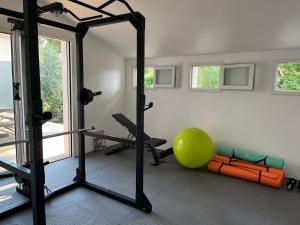 a gym with a large green ball and a mirror at Exceptional Waterfront Villa in Hyères