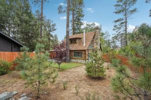 a log home in the woods with trees at Idyllwild Realty Vacations in Idyllwild