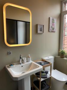 a bathroom with a sink and a mirror and a toilet at Grand Appartement Hyper Centre in Lens