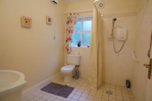a bathroom with a toilet and a shower with a window at Ashmount Lodge in Ballynageragh +21 photos