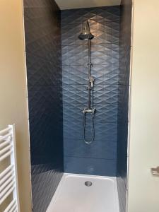 a shower with blue tiled walls and a shower stall at Studio Charmant Hyper Centre in Lens