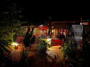 a night view of a store with plants and lights at NYUNGWE ECOLODGE - Gisakura in Nyamasheke