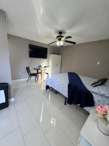 a bedroom with a bed and a ceiling fan at Nice private room with separate entrance in Port Richey