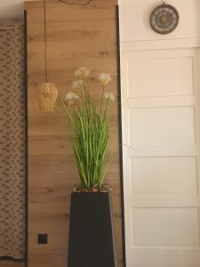 a plant in a black vase next to a door at Corsappart in Porto-Vecchio