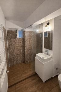 a bathroom with a shower and a sink and a toilet at Ultracentral Modern Apartment Toma Caragiu, Ploiesti in Ploieşti