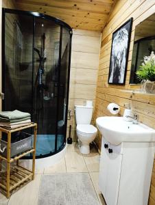 a bathroom with a shower and a toilet and a sink at Agroturystyka Zagroda Alpaka in Chmielno