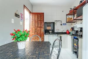 a kitchen with a table with a potted plant on it at Casa perto do centro e da Udesc Cefid in Florianópolis